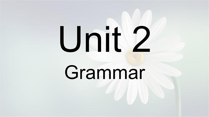 Unit2Grammar一般现在时牛津译林版英语七年级上册(共17张PPT)01