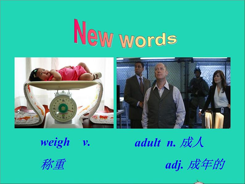 八年级英语上册Unit5What'sthehighestmountainintheworldSectionB1课件鲁教版五四制03