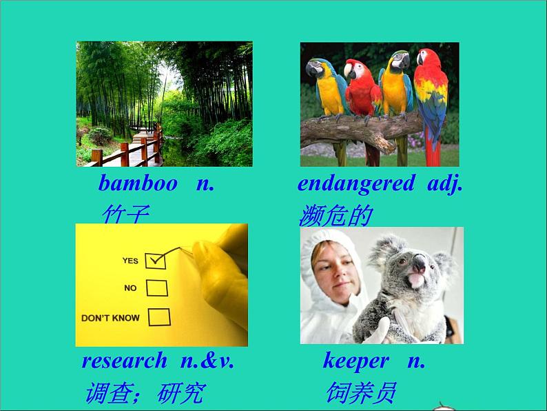 八年级英语上册Unit5What'sthehighestmountainintheworldSectionB1课件鲁教版五四制04