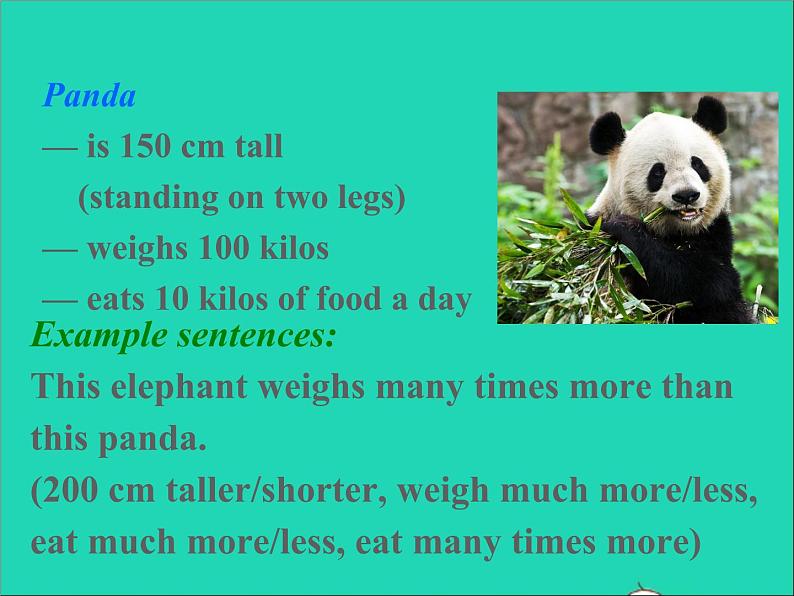 八年级英语上册Unit5What'sthehighestmountainintheworldSectionB1课件鲁教版五四制08