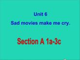 九年级英语全册Unit6SadmoviesmakemecrySectionA课件鲁教版五四制