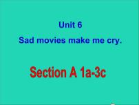 鲁教版 (五四制)九年级全册Unit 6 Sad movies make me cry.Section A图片课件ppt