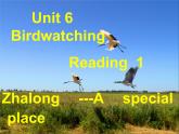 2022八年级英语上册Unit6BirdwatchingReading1课件新版牛津版