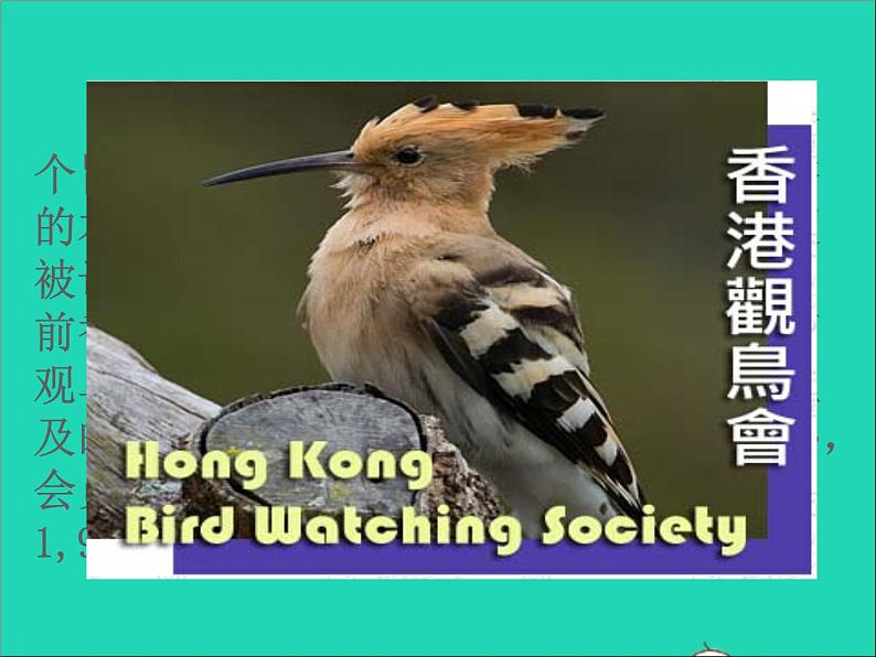 2022八年级英语上册Unit6BirdwatchingTask_课件新版牛津版07