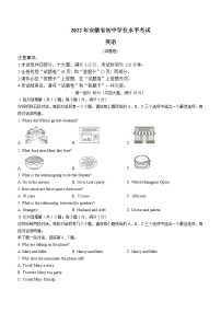 2022年安徽省中考模拟英语试题(word版含答案) (2)