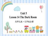 Unit 5 Lesson 14 The Dark Room 课件2021-2022学年北师大版九年级英语全册