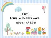 Unit 5 Lesson 14 The Dark Room 課件2021-2022學年北師大版九年級英語全冊