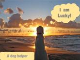 八下u2 dog helper大阅读1 课件 人教版初中英语八年级下