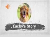 八下u2 dog helper大阅读1 课件 人教版初中英语八年级下