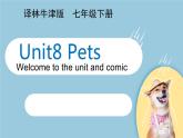 牛津译林版英语七年级下册Unit8 Pets 第一课时Welcome to the unit课件