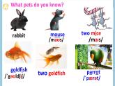 牛津译林版英语七年级下册Unit8 Pets 第一课时Welcome to the unit课件