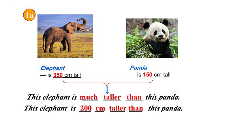 Unit7 What's the highest mountain in the world_Section B 1a-2d课件2021-2022学年人教版英语八年级下册06