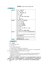 冀教版九年级上册Lesson 5 Jane's Lucky Life精品教案