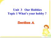 仁爱版英语八年级上册Unit3__Topic1__SectionA__精品课件