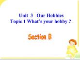 仁爱版英语八年级上册Unit3__Topic1__SectionB__精品课件