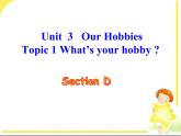 仁爱版英语八年级上册Unit3__Topic1__SectionD__精品课件