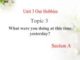 仁爱版英语八年级上册Unit3__Topic3__SectionA__精品课件