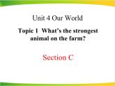 仁爱版英语八年级上册Unit4__Topic1__SectionC__精品课件