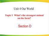 仁爱版英语八年级上册Unit4__Topic1__SectionD__精品课件