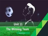 U11大閱讀  課件人教版初中英語九年級全冊