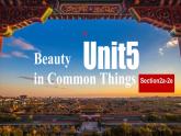 Unit5 大閱讀  課件人教版初中英語九年級全冊
