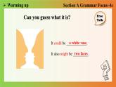 Unit 8 Section A Grammar Focus~4c课件2022-2023学年人教版新目标九年级英语上册