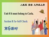 Unit 8 Section B 3a~Self Check课件2022-2023学年人教版新目标九年级英语上册