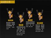 中考词法之系动词与情态动词  课件 中考英语复习人教版