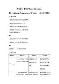 人教新目标 (Go for it) 版七年级下册Section A第2课时教案设计