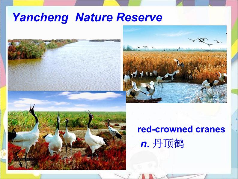 2022-2023学年牛津 译林版英语八年级上册Unit6 Birdwatching Integrated Skills 课件 （共26张PPT+4音频）04