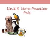 牛津版（深圳廣州）八年下冊(cè)第六單元課件 Unit6 Pets More Practice