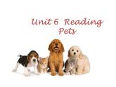 牛津版（深圳廣州）八年下冊第六單元課件Unit6 Pets reading2