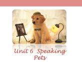 牛津版（深圳廣州）八年下冊第六單元課件8B Unit6 Pets Speaking