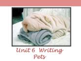 牛津版（深圳广州）八年下册第六单元课件 Uint6 Pets Writing