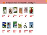 牛津版（深圳广州）八年下册第六单元课件 Uint6 Pets Writing
