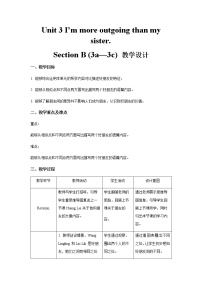 英语Section B第3课时教案