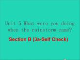 英语人教版八年级下册同步教学课件unit 5 what were you doing when the rainstorm came sectionb（3a-selfcheck）