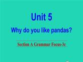 英语人教版七年级下册同步教学课件unit 5 why do you like pandas sectiona（grammarfocus-3c）