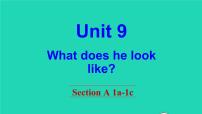 人教新目标 (Go for it) 版七年级下册Unit 9 What does he look like?Section A教学ppt课件