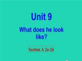 英语人教版七年级下册同步教学课件unit 9 what does he look like section a（2a-2d）