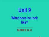 英语人教版七年级下册同步教学课件unit 9 what does he look like section b（1a-1e）