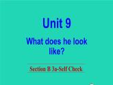 英语人教版七年级下册同步教学课件unit 9 what does he look like sectionb（3a-selfcheck）