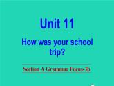 英语人教版七年级下册同步教学课件unit 11 how was your school trip sectiona（grammarfocus-3b）