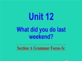 英语人教版七年级下册同步教学课件unit 12 what did you do last weekend sectiona（grammarfocus-3c）