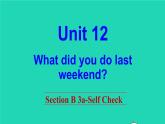 英语人教版七年级下册同步教学课件unit 12 what did you do last weekend sectionb（3a-selfcheck）