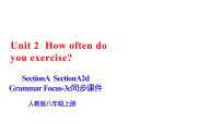 人教新目标 (Go for it) 版八年级上册Section A备课ppt课件