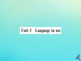 英语外研版九年级上册同步教学课件module4 home alone unit3 language in use习题