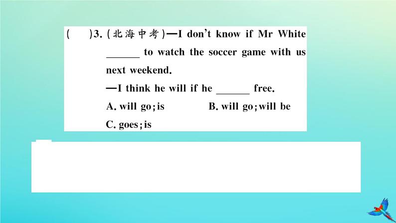 英语外研版九年级上册同步教学课件module6 problems unit3 language in use习题05