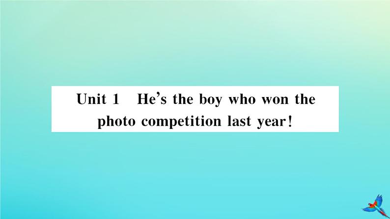 英语外研版九年级上册同步教学课件module11 photos unit1 he’s the boy who won the photo competition last year习题01