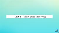 外研版 (新标准)九年级上册Unit 1 Don’t cross that rope!教学课件ppt